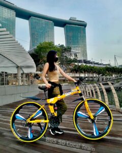 Best Folding Bikes in SIngaproe