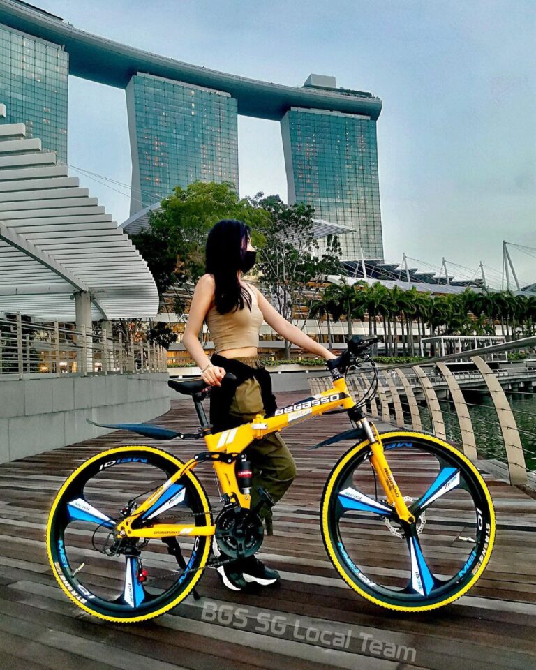  Is Ebike Allowed In Singapore Ebike Singapore Rules Guide For Buyers