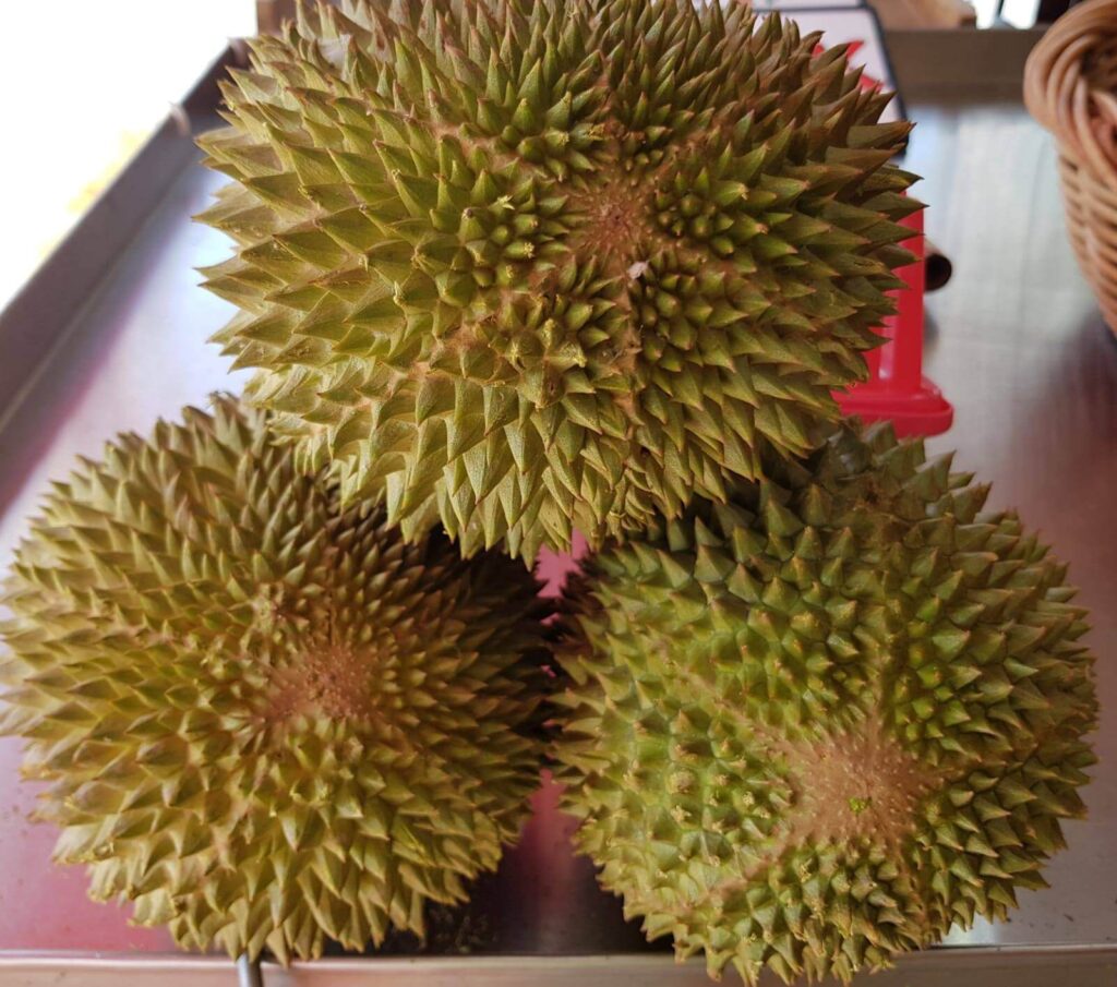 Combat Durian Singapore Delivery