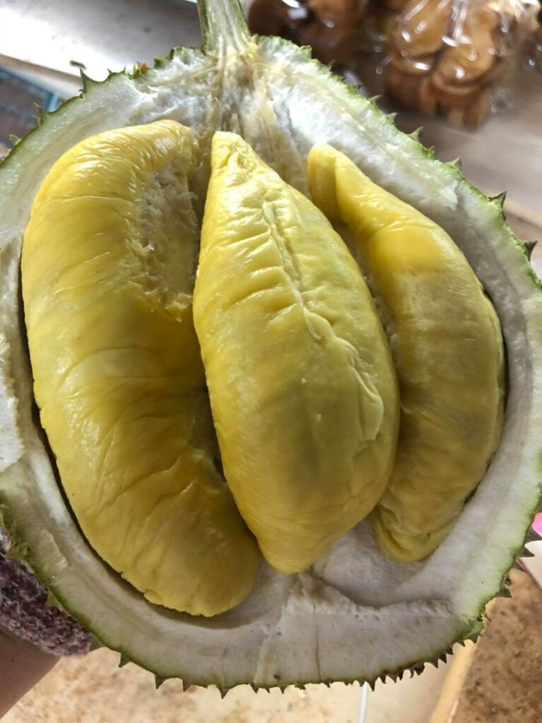 Melvin's Durian Singapore Delivery