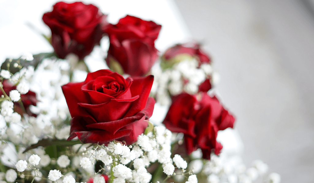 Most Romantic Flowers and Their Meanings